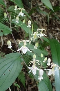 P9012612 (207x310).jpg