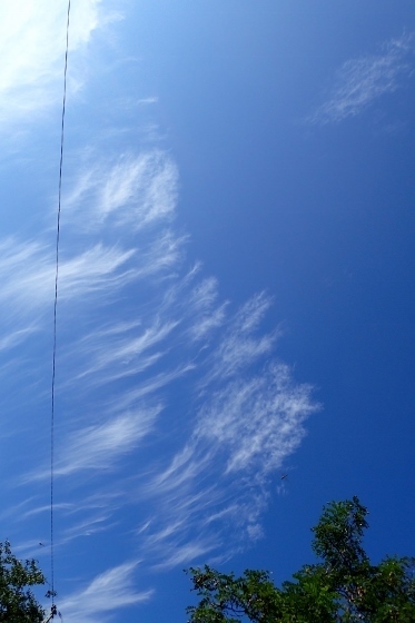 P9036441 (373x560).jpg