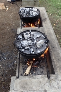 P9036444 (207x310).jpg