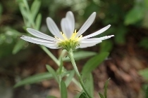 P9056521 (210x140).jpg