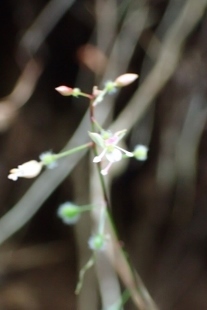 P9056558 (207x310).jpg