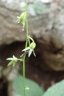 P9056587 (207x310).jpg