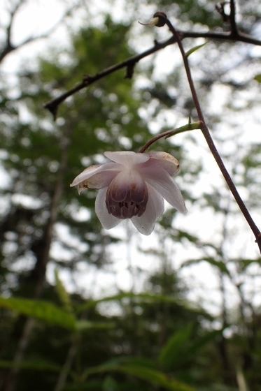 P9056652 (373x560).jpg