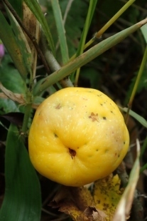 P9056659 (207x310).jpg
