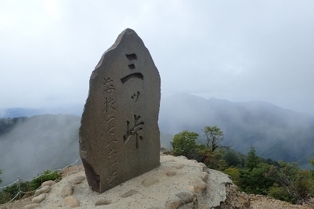P9056714 (440x293).jpg
