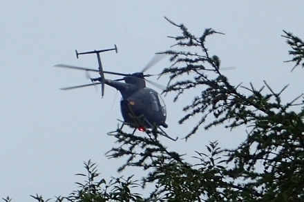 P9056774 (440x293).jpg