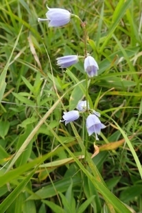 P9056782 (207x310).jpg