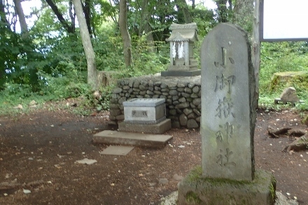 P9056861 (440x293).jpg
