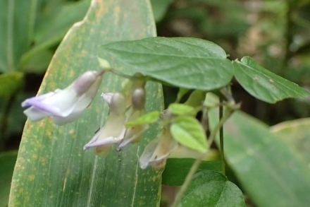 P9056869 (440x293).jpg
