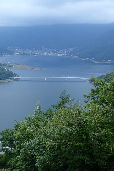 P9056876 (373x560).jpg