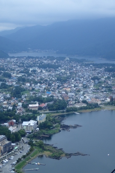 P9056877 (373x560).jpg