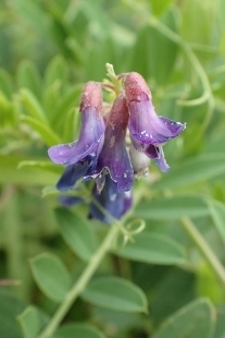 P9056898 (207x310).jpg