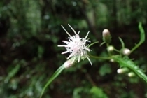 P9082640 (210x140).jpg