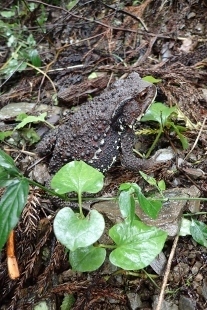 P9082654 (207x310).jpg