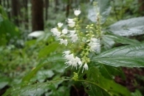 P9082657 (210x140).jpg