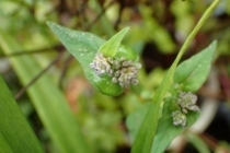 P9242838 (210x140).jpg