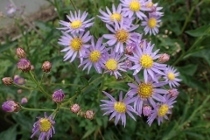 P9242839 (210x140).jpg