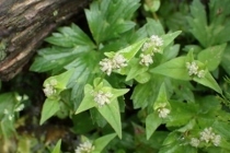 P9242847 (210x140).jpg