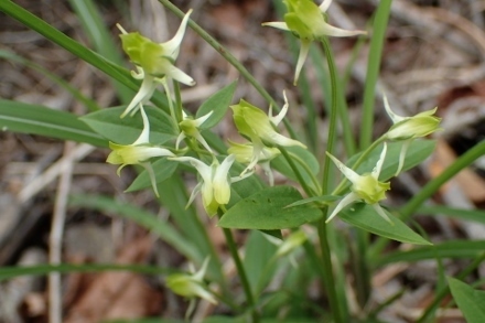 P9242859 (440x293).jpg