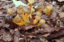 P9242878 (210x140).jpg