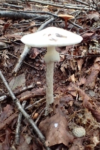 P9242880 (207x310).jpg