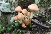 P9242881 (210x140).jpg