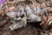 P9242888 (210x140).jpg