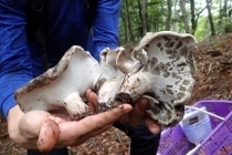 P9242889 (210x140).jpg