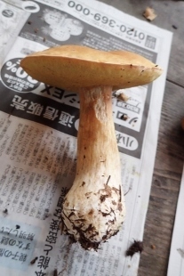 P9242938 (207x310).jpg