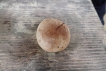 P9242953 (210x140).jpg