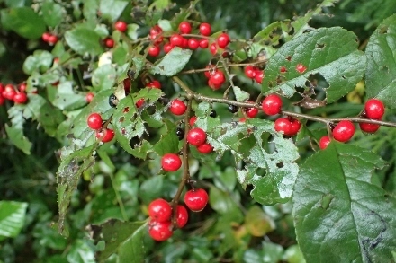 PA227808 (440x293).jpg