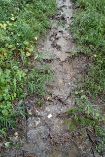 PA227814 (207x310).jpg