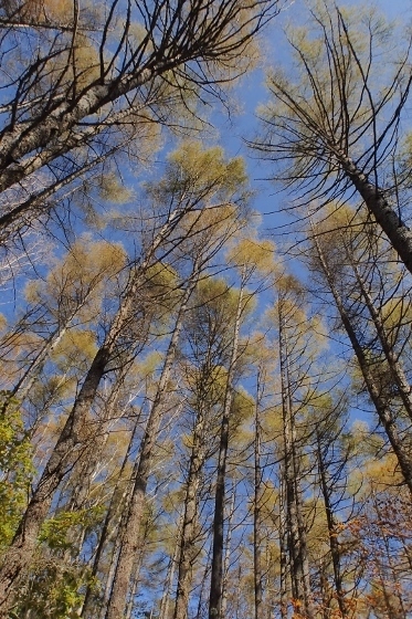 PA267972 (373x560).jpg