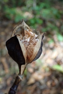 PB028184 (207x310).jpg