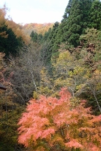 PB028189 (207x310).jpg