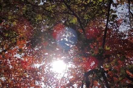 PB028200 (440x293).jpg
