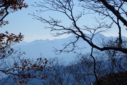 PB028210 (440x293).jpg