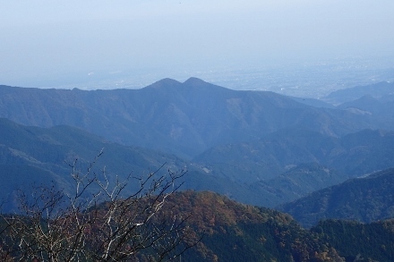 PB028212 (440x293).jpg