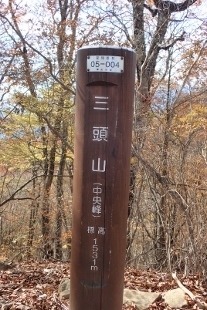 PB028216 (207x310).jpg