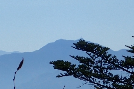PB028219 (440x293).jpg