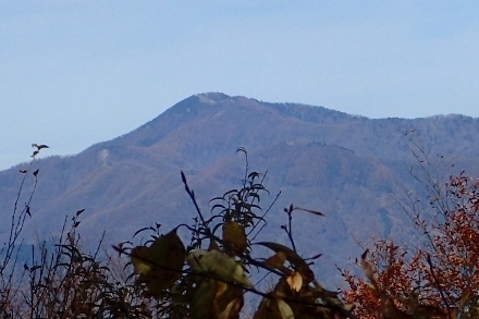 PB028221御前山? (440x293).jpg