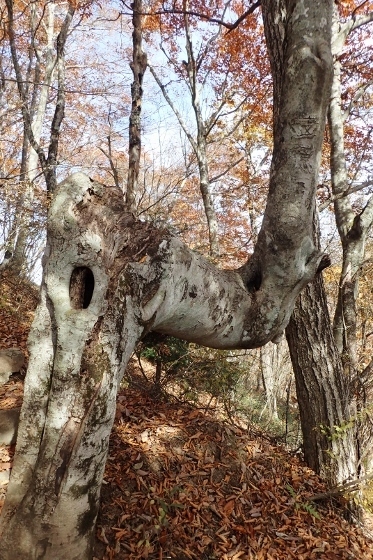 PB028235 (373x560).jpg