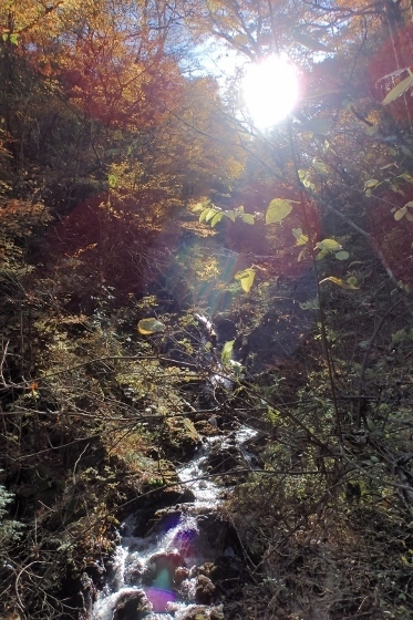PB028250 (373x560).jpg