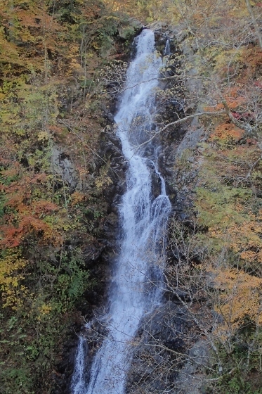PB028253 (373x560).jpg