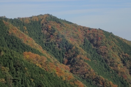 PB028290 (440x293).jpg
