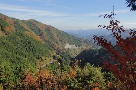 PB028291 (440x293).jpg
