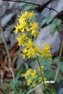 PB028292 (207x310).jpg