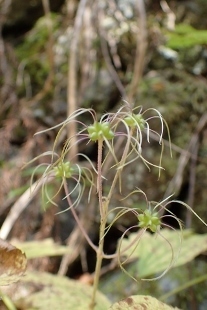 PB028300 (207x310).jpg