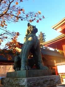 PB141954 御岳山 神社 夜明け 狛犬s.JPG