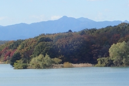 PB198757x@ (440x293).jpg